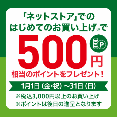 【長野店】「ネットストア」はじめてのお買い上げで500ポイントプレゼント!