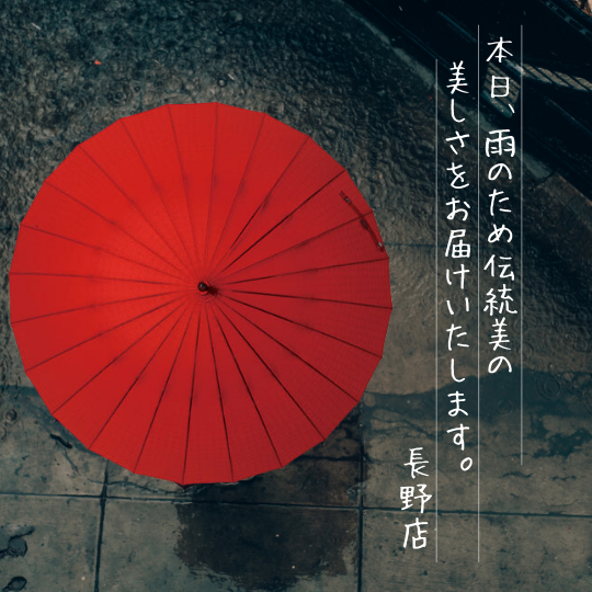  【長野店】上品な江戸切子柄の２４本骨傘