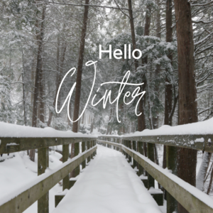 Grey and White Aesthetic Hello Winter Instagram Story (Instagramの投稿).png